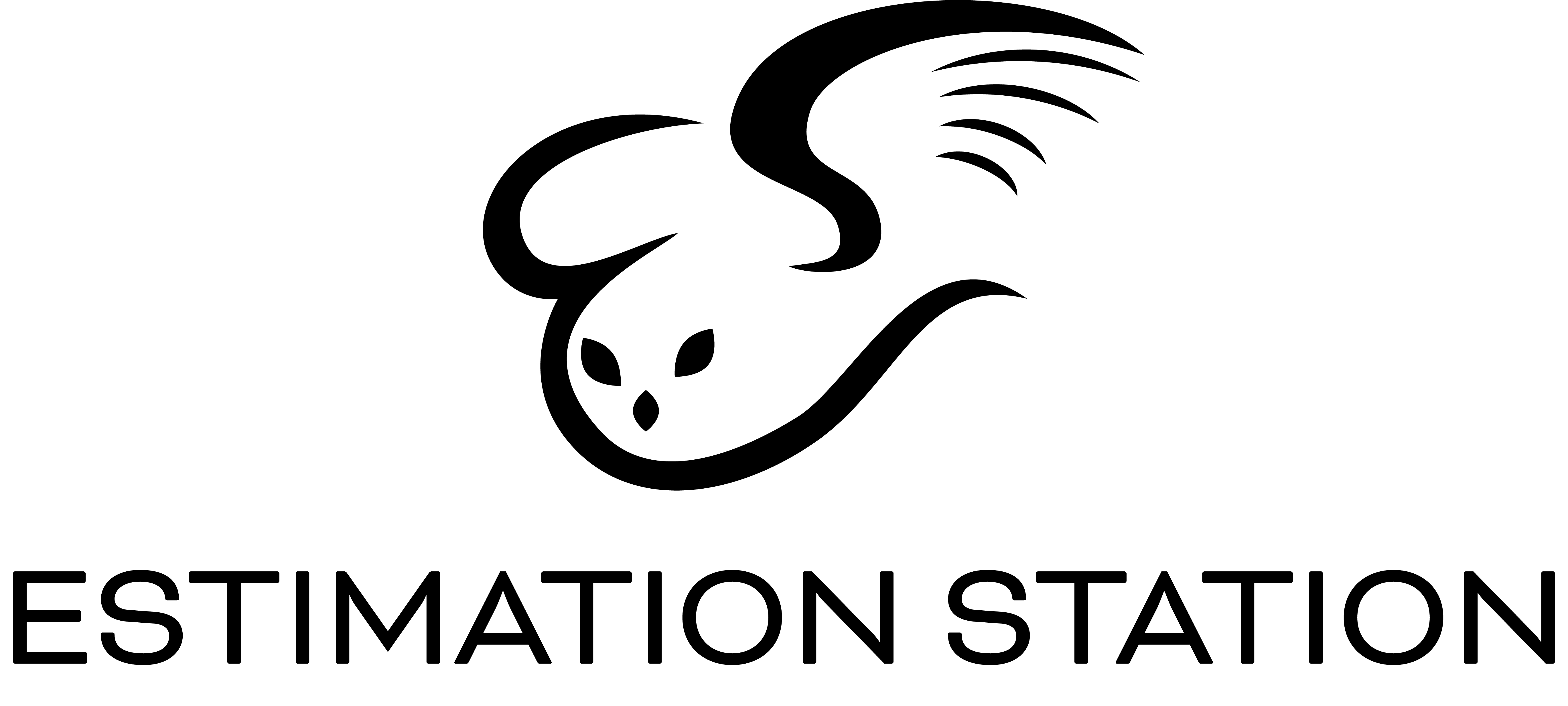 EstimationStation